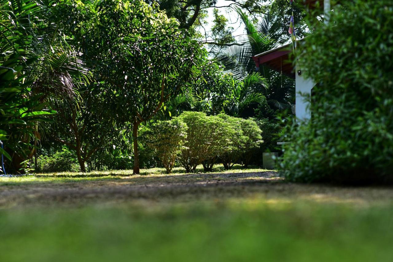 Tamarind Blue Otel Tangalle Dış mekan fotoğraf
