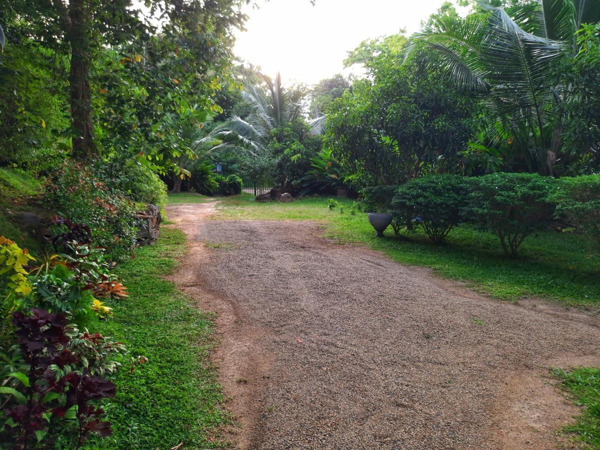 Tamarind Blue Otel Tangalle Dış mekan fotoğraf
