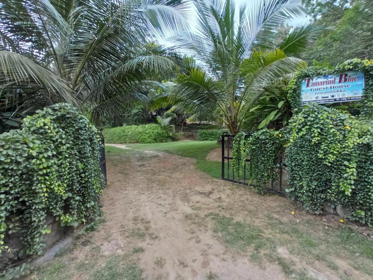 Tamarind Blue Otel Tangalle Dış mekan fotoğraf